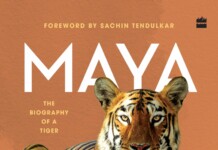 Maya: The Biography of a Tiger