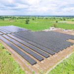 Nevron AI to Help Green Energy Adoption
