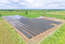 Nevron AI to Help Green Energy Adoption