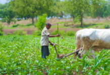 How Reels are Sparking Climate Action in Remote India
