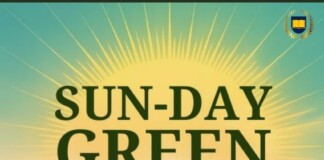Sun-day Green: India’s Solar
