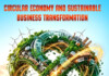 Circular Economy and Sustainable Business Transformation