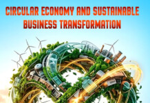 Circular Economy and Sustainable Business Transformation